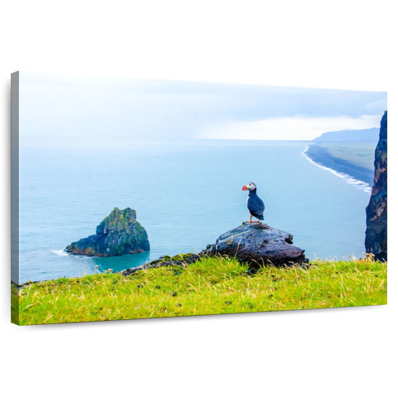 Macareux moine debout sur une falaise, H 20 po x l 30 po