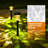 12 Pack Solar Pathway Lights, Waterproof Auto On/Off Outdoor Solar Lights for Garden,Walkway and Driveway,2800K