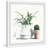 " Potted Green Plants " by Parvez Taj-2034575730