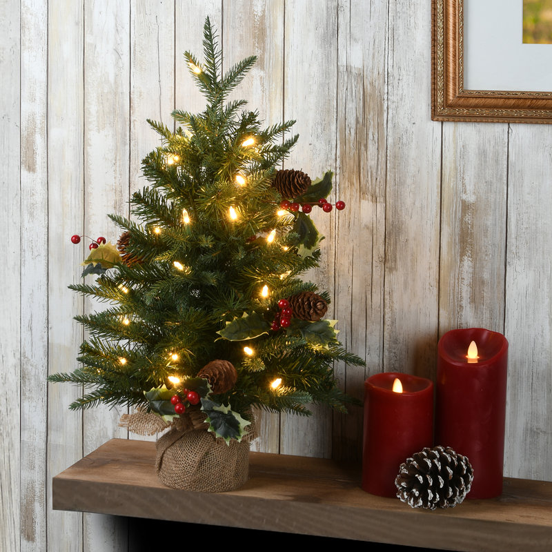 Happy Hill Pine Tree