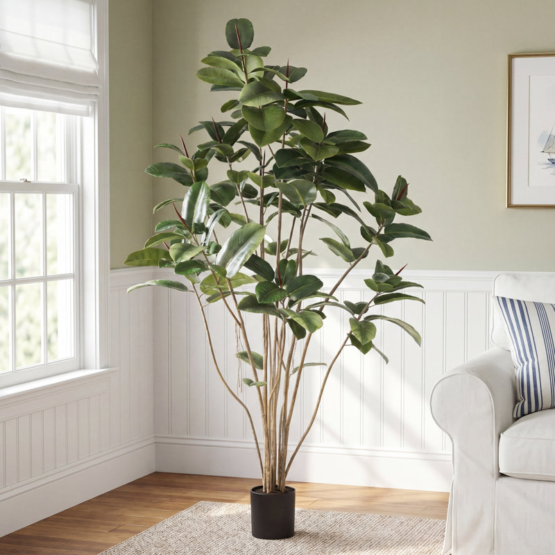 Solerno Faux Rubber Tree in Pot Liner, 60" H x 34" W x 34" D