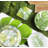 Foliage Square 1 Piece Trivet