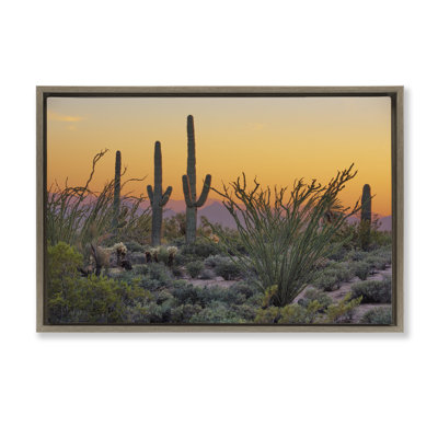 «Sunset Desertscape Cacti Floater» par Marty Hulsebos