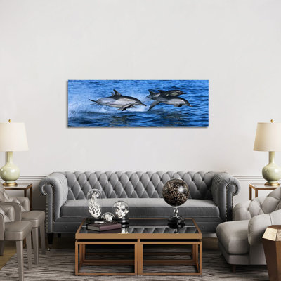 Common Dolphins Breaching in the Sea #2 1 Piece Wrapped Canvas Panoramic Wall Art