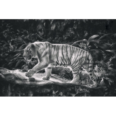 Tigre par Tunart