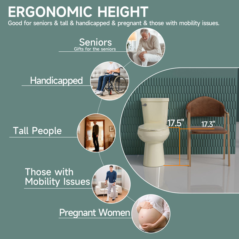 17" ADA Height Compact Two Piece Tall Toilet for Seniors, 1.28 GPF Tornado Single Flush, MAP 1000g, Bone, Bone