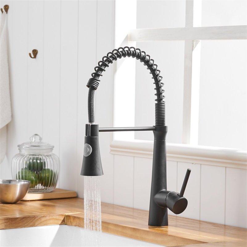 Robinet de cuisine avec douchette rétractable, robinet d'évier de cuisine à poignée simple, Noir