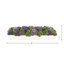 Sedum Arrangement in a Rectangular Wood Planter-1271657806