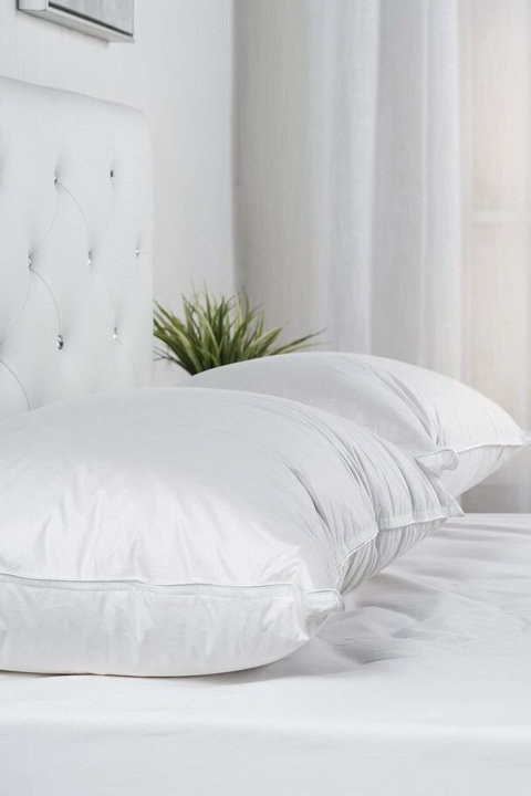 Standard Bed Pillows