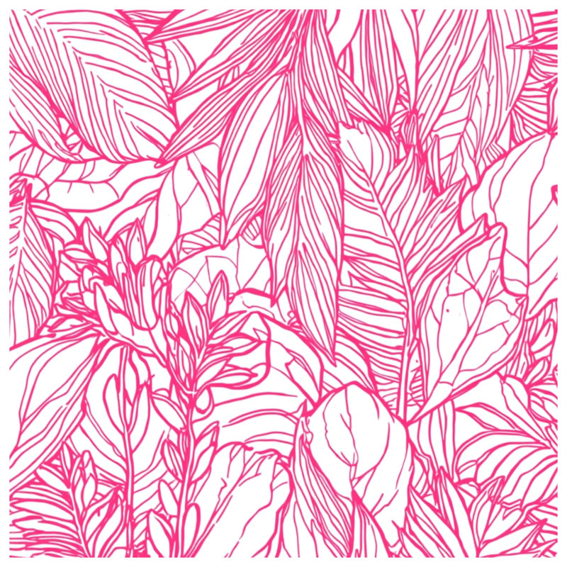 Couvertures roses, 60 po L x 80 po H