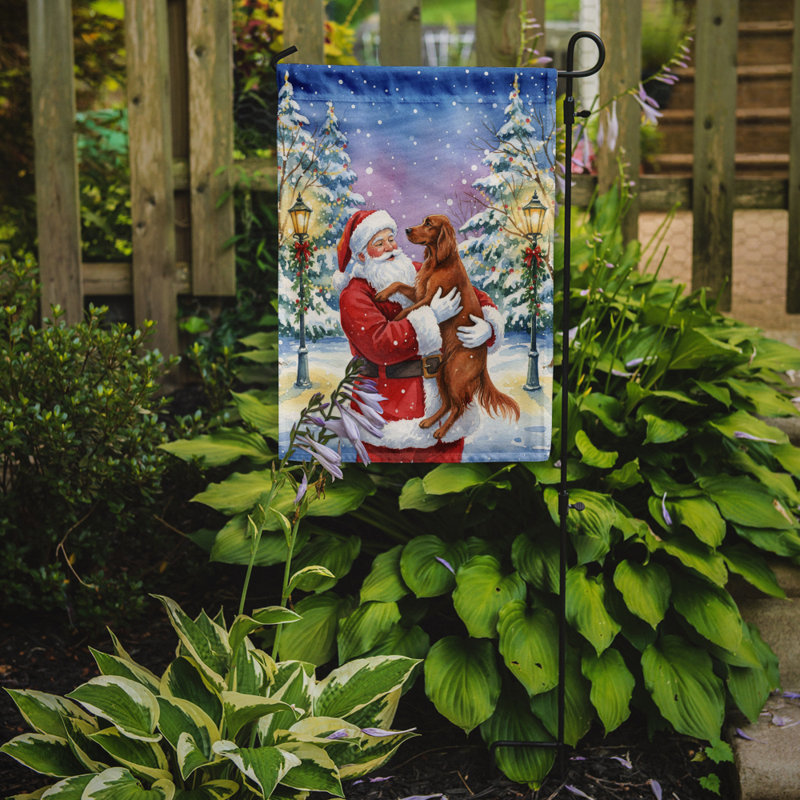 Setter irlandais avec drapeau du père Noël, Taille du jardin, Setter irlandais