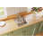 Lustertone 17" L x 20" W Drop-In Kitchen Sink-17357922
