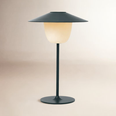 Ani Novelty Lamp
