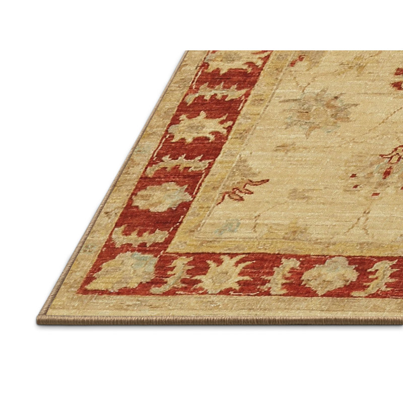 Oriental Indoor Rug, Rectangle 5' x 7'