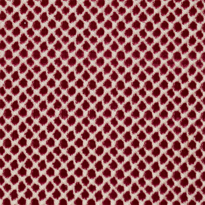 Tissu moderne en velours Etosha