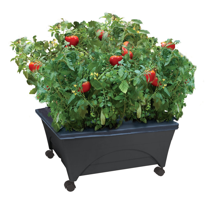 Warlick City Picker Raised Bed, Charcoal