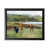 Black Framed