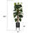 Holley 81.5'' Faux Devils Ivy Tree in Planter