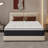 Memory Foam Hybrid Mattress In A Box With Independent Spring  12in Queen Mattress-2050340384-2077293671
