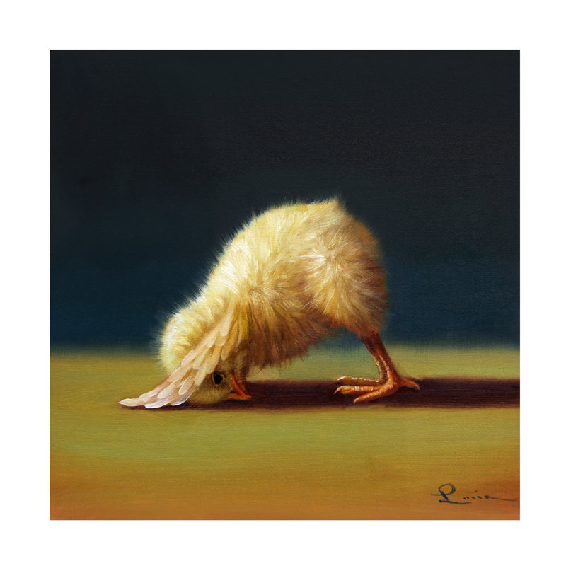 «Darry Yoga Chick Downward Dog on Canvas» par Lucia Heffernan, impression, H 14 po x l 14 po x P 2 po