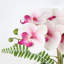 Runck Arrangement
