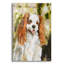 «Cavalier King Charles» par Solveiga-57166006
