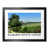 Black Wood Frame