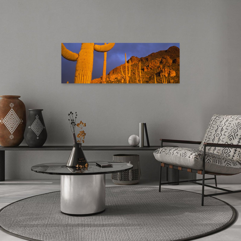 Cactus Saguaro, Tucson, Arizona, États-Unis, 36" H x 12" W