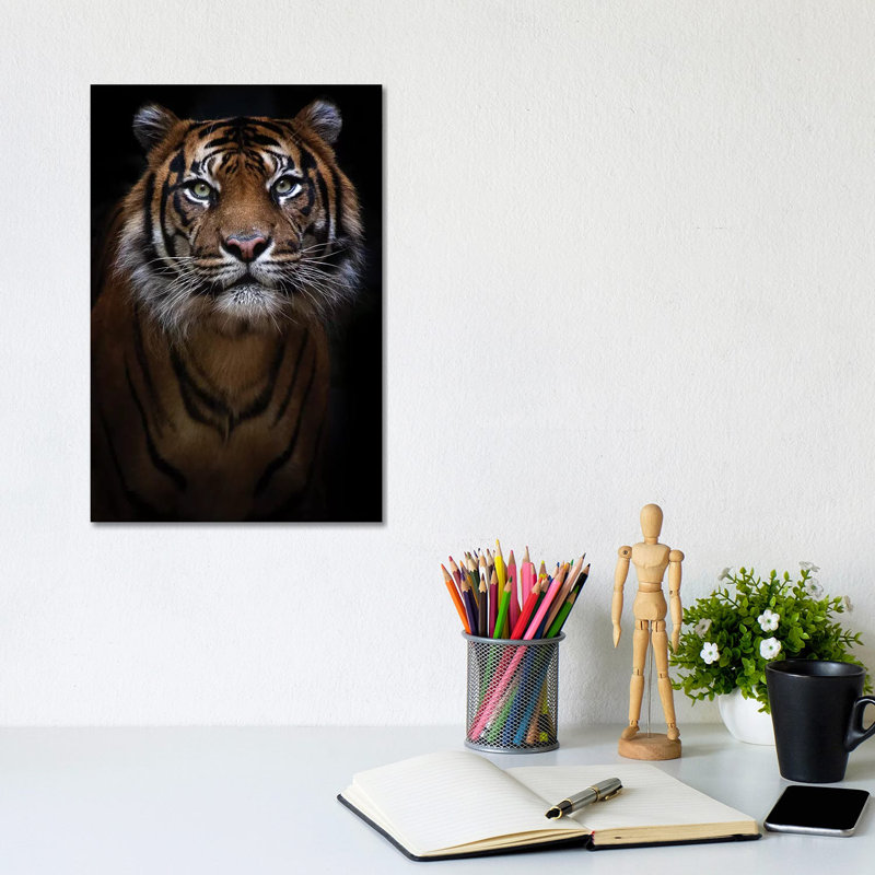 Sumatran Tiger Portrait by David Whelan - Wrapped Canvas Print, 20.32 cm H x 30.48 cm W