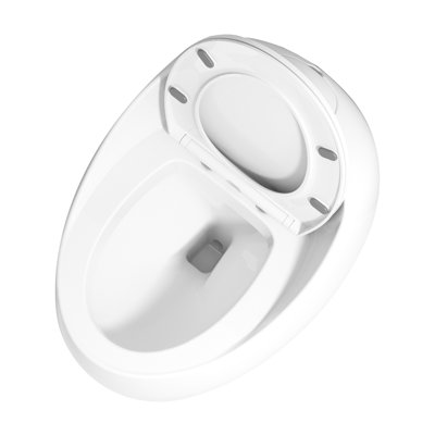 Ceramic Egg Shape Bathroom Toilet - Glossy White, 1.28 Single Flush, Energy Flushing In White Finish Silent Flushing, Delight