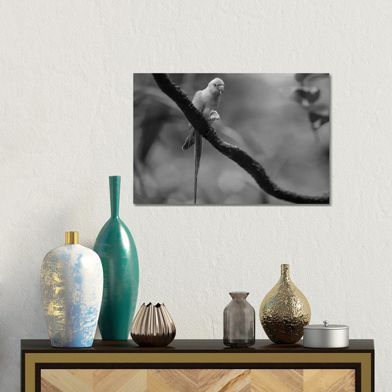 Rose-ringed Parakeet Feeding, Jurong Bird Park, Singapore by Tim Fitzharris - Gallery-Wrapped Canvas Giclée on Canvas, Canvas