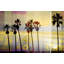 Parvez Taj - Wrapped Canvas Print-12309699
