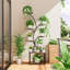 Betsabe Plant Stand