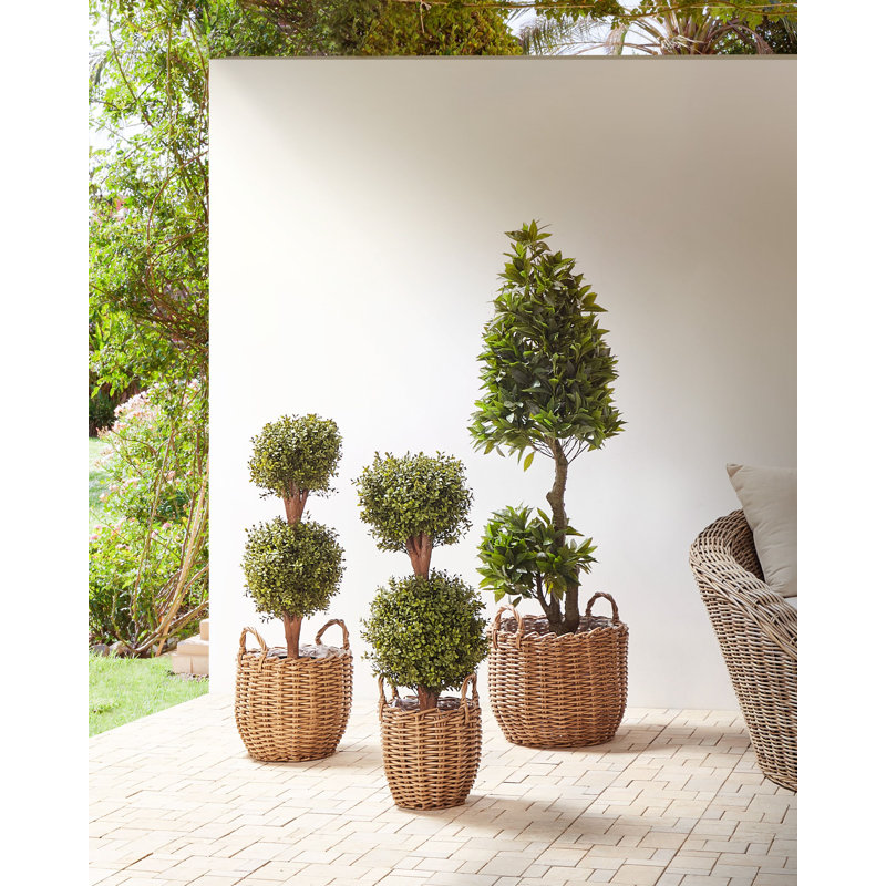 Amayas Handmade Pot Planter