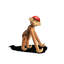 Cap X DBU - singe - rouge-100738017