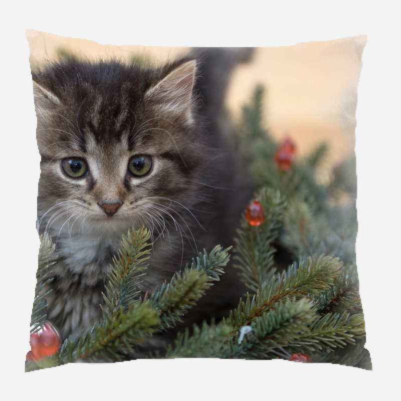  Coussin Kitten