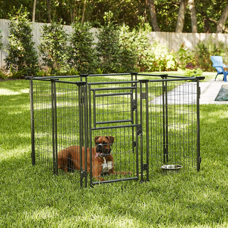 Haven Expandable Kennel, Black, Medium
