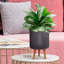 Concrete Effect Cylinder Round Planter on Hardwood Legs, Round Indoor Plant Pot Stand for Indoor Plants, Indoor Flower Pot with Ribbed Pattern-529439269-529439275