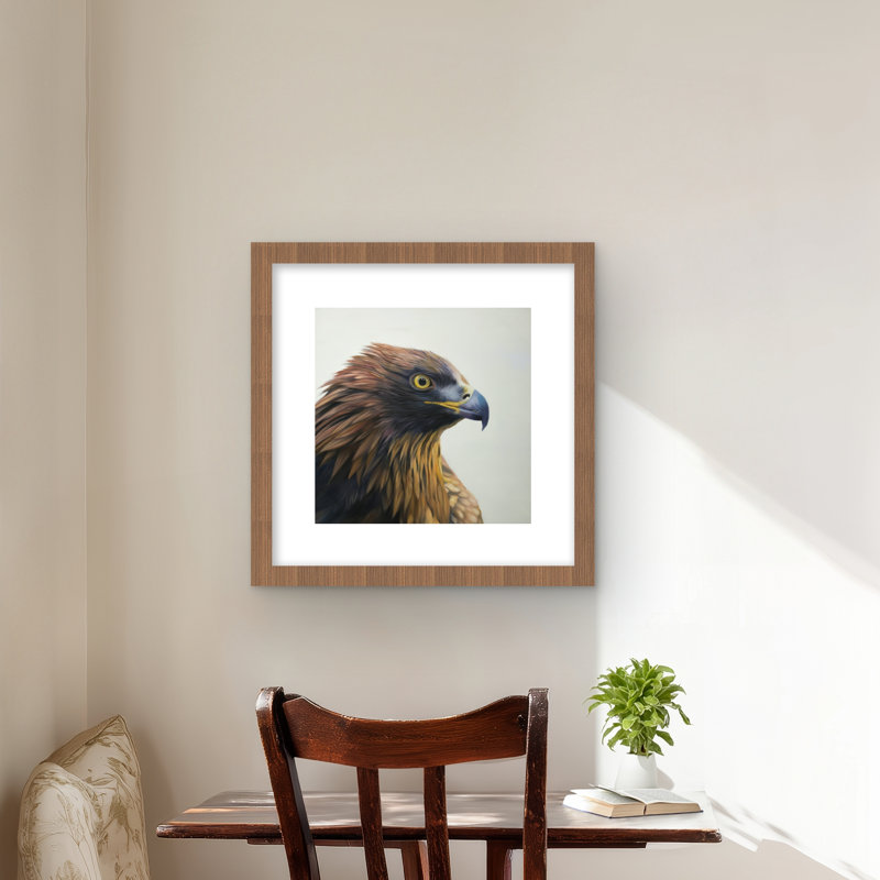Aigle à tête brune - Best-sellers de l'Ouest, reproduction encadrée, H 16 po x l 16 po
