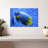 Brampt Coral Blue Angelfish-107855059