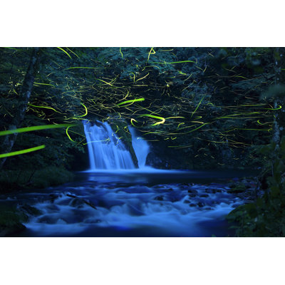 " Dancing Fireflies "