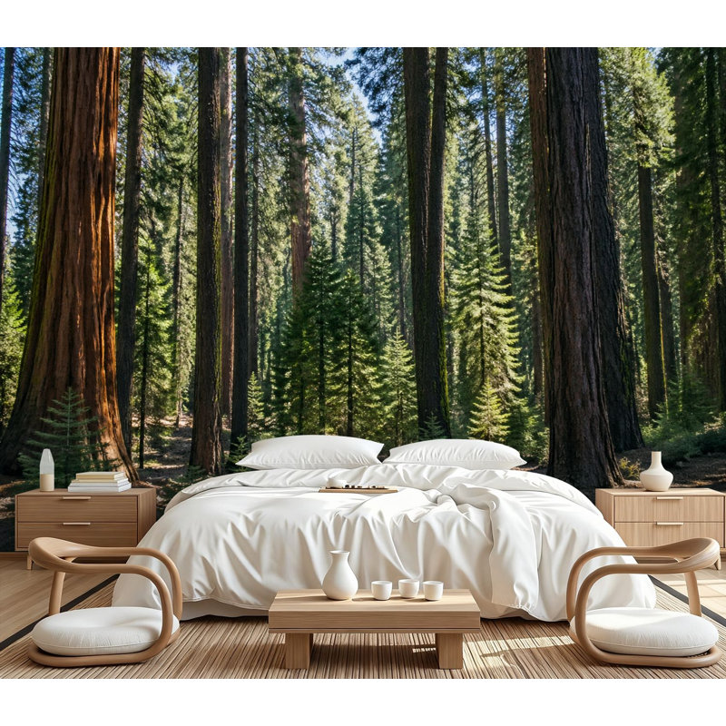 Papier peint adhésif autocollant Sunlight Giant Trees Majestic Forest, L 99,6 po x l 144 po