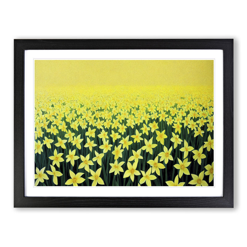Daffodil Field - Single Picture Frame Print, 46cm H x 64cm W x 2cm D, Black