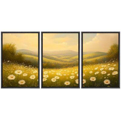 Golden Daisy Meadow