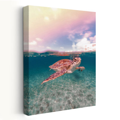 Au-dessus et au-dessous de la côte Nautique, animal, brun turquoise