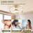 Glenalee 27.5'' Ceiling Fan with LED Lights