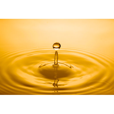 Drop Of Oil - Wrapped Canvas Print