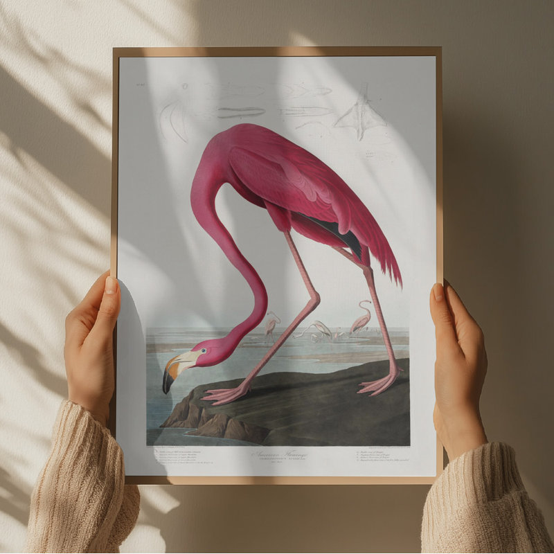 Wrapped Canvas Print, 60.96 cm H x 91.44 cm W