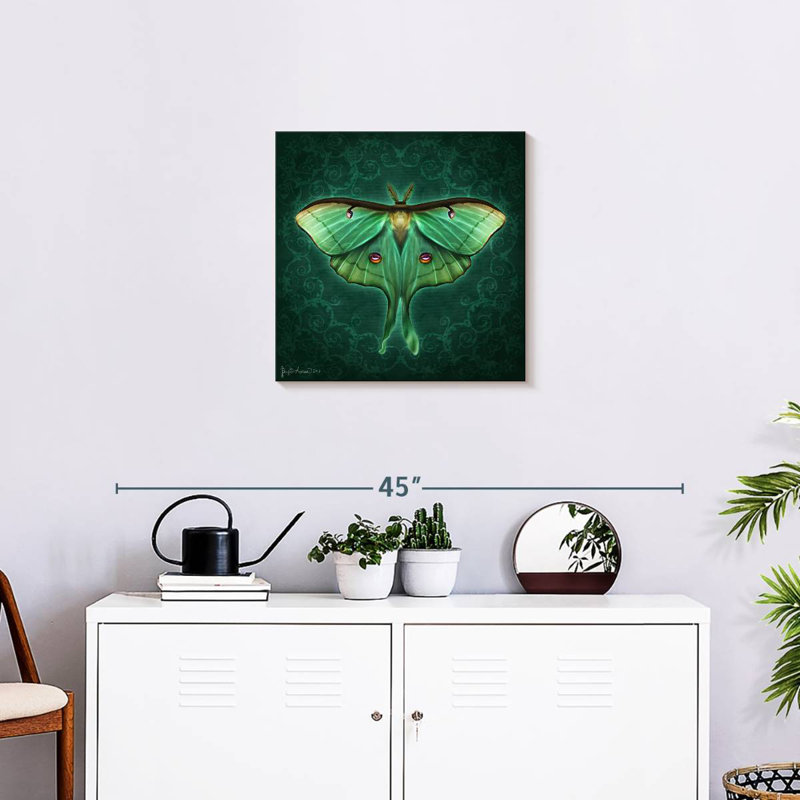 Brampt Steampunk Luna Moth II, 20" H x 20" W