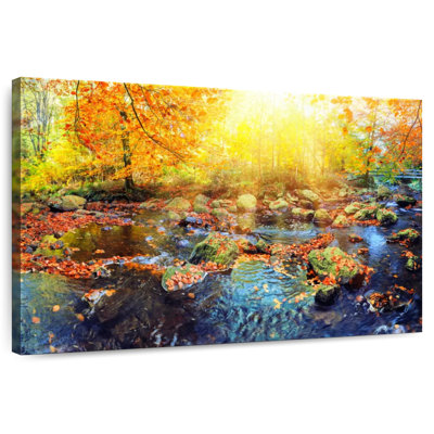 Alvord Autumn Forest Stream